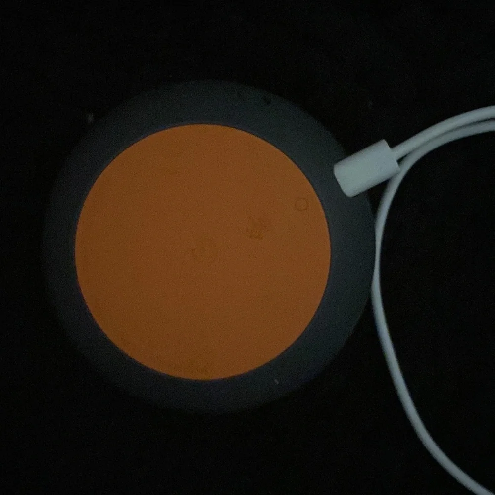 Google home mini